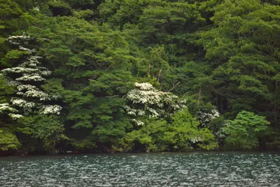 DSC_3747 (Large).JPG